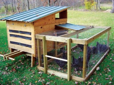 30 Pallet Chicken Coop Inhabit Zone